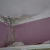 Arreglar Humedades
