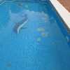 Alicatar Piscina