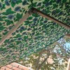 Instalar Toldo Vivienda