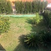 Hacer puesta a punto de jardín