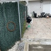 Construir Muro