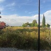 Desbrozar Jardín