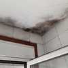 Limpieza Vivienda (1 vez)