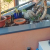 Otros Trabajos De Albañilería