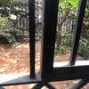 Hacer puesta a punto de jardín
