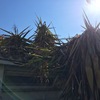 Hacer puesta a punto de jardín