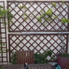 Otros Trabajos De Jardinería