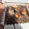 Otros Trabajos De Jardinería