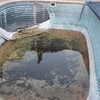 Revestir Piscina con Otros Materiales