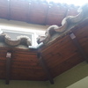 Reforma Integral Tejado Casa (Unifamiliar)