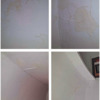 Pintar Interior De Vivienda