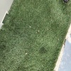 Cesped Artificial