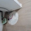 Otros Trabajos De Albañilería