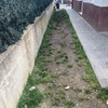 Cesped artificial en exterior en forma de l