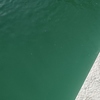 Limpieza puntual de piscina