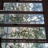Limpieza Vivienda (1 vez)