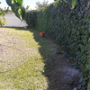 Mantener Jardín