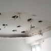 Arreglar Humedades