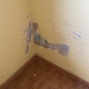 Pintar Interior De Vivienda