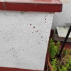 Impermeabilizar Vivienda o Local