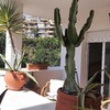 Instalar Toldo Vivienda