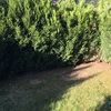 Mantener Jardín