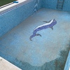 Limpieza puntual de piscina