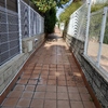 Mantenimiento Edificio, Piscina y Jardín