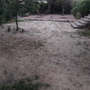 Plantar Cesped