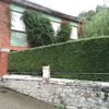 Mantener Jardín