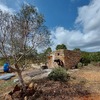 Hacer puesta a punto de jardín