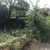 Desbrozar Jardín