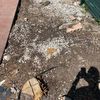 Otros Trabajos De Jardinería