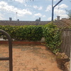 Desbrozar Jardín