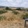 Desbrozar Jardín