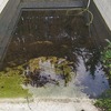 Reforma Piscina