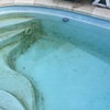 Limpieza puntual de piscina