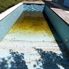 Limpieza puntual de piscina