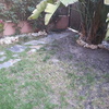 Desbrozar Jardín