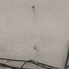Hacer Trabajos Pladur en Vivienda