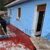 Impermeabilización Parcial Vivienda O Local