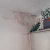 Arreglar Humedades