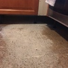 Pulir Suelo Vivienda (Parcial)