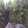 Otros Trabajos De Jardinería