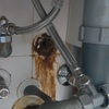 Cambiar Fontanería Cocina o Baño