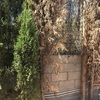 Construir Muro
