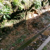 Construir Muro