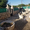 Construir Muro