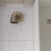 Instalar o Cambiar Campana Extractora