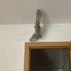 Instalar Aire Acondicionado (con Preinstalación Hecha)